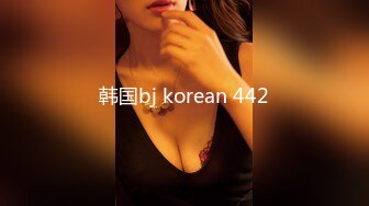 韩国bj korean 442