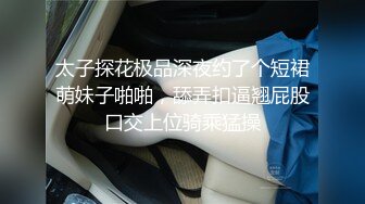 公司聚会下药迷翻漂亮的美女同事换上黑丝各种姿势操 (2)