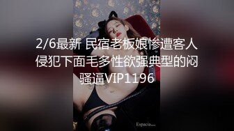 2/6最新 民宿老板娘惨遭客人侵犯下面毛多性欲强典型的闷骚逼VIP1196