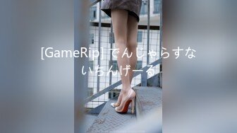 [GameRip] でんじゃらすないちんげーる