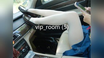 vip_room (5)