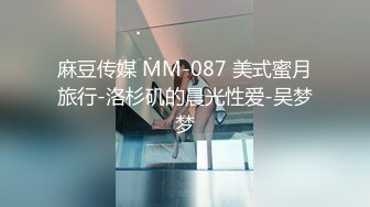 麻豆传媒 MM-087 美式蜜月旅行-洛杉矶的晨光性爱-吴梦梦