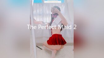 The Perfect Maid 2